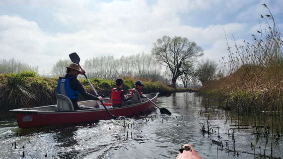 Mechelen1 -  - Paddle Cleanup
